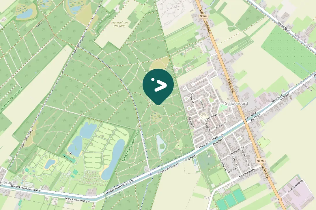 Spotted Middle Spotted Woodpecker