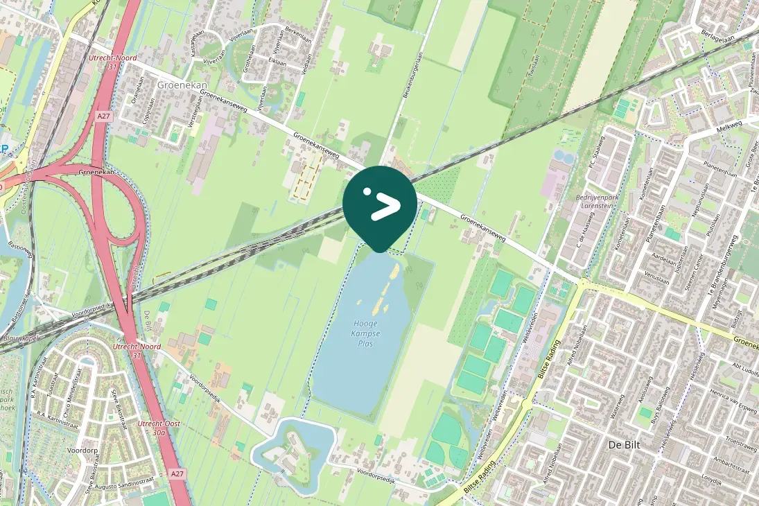 Spotted Common Chiffchaff