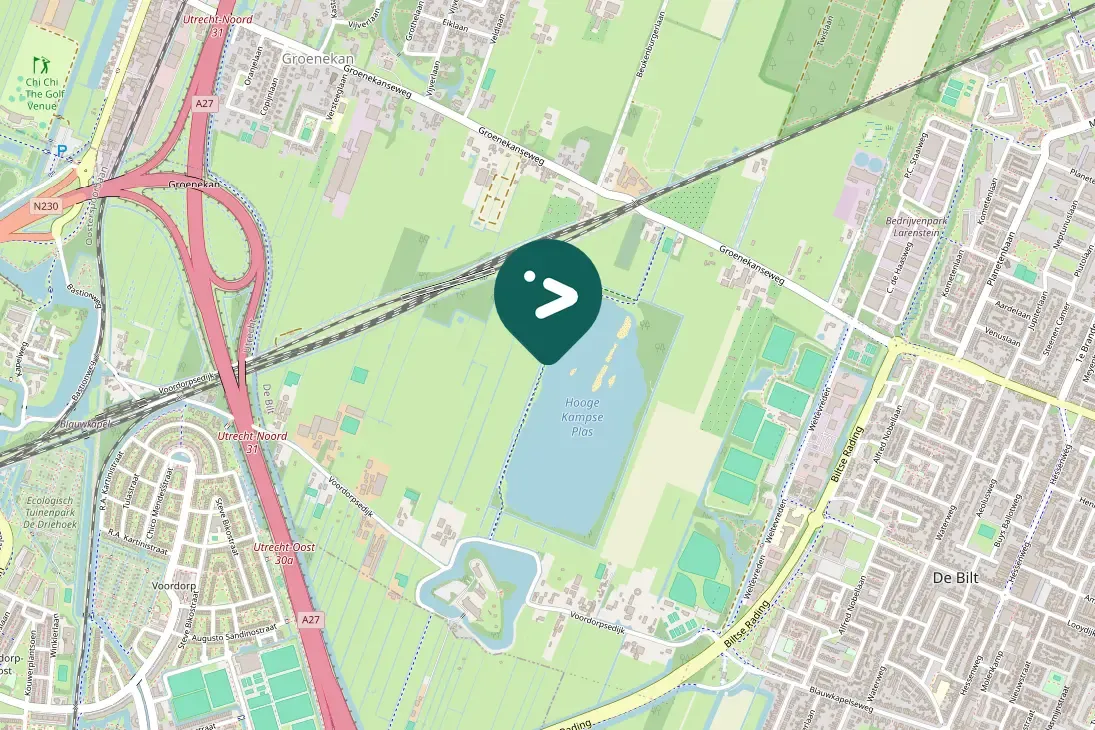 Spotted Green Sandpiper