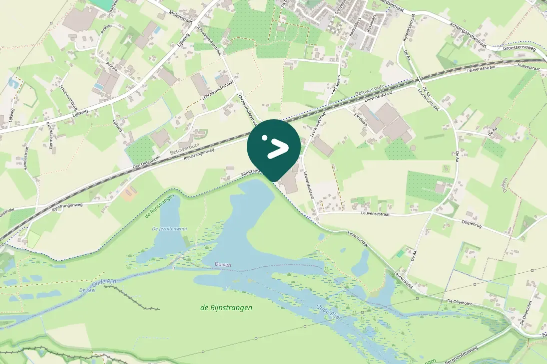 Spotted Greater White-fronted Goose