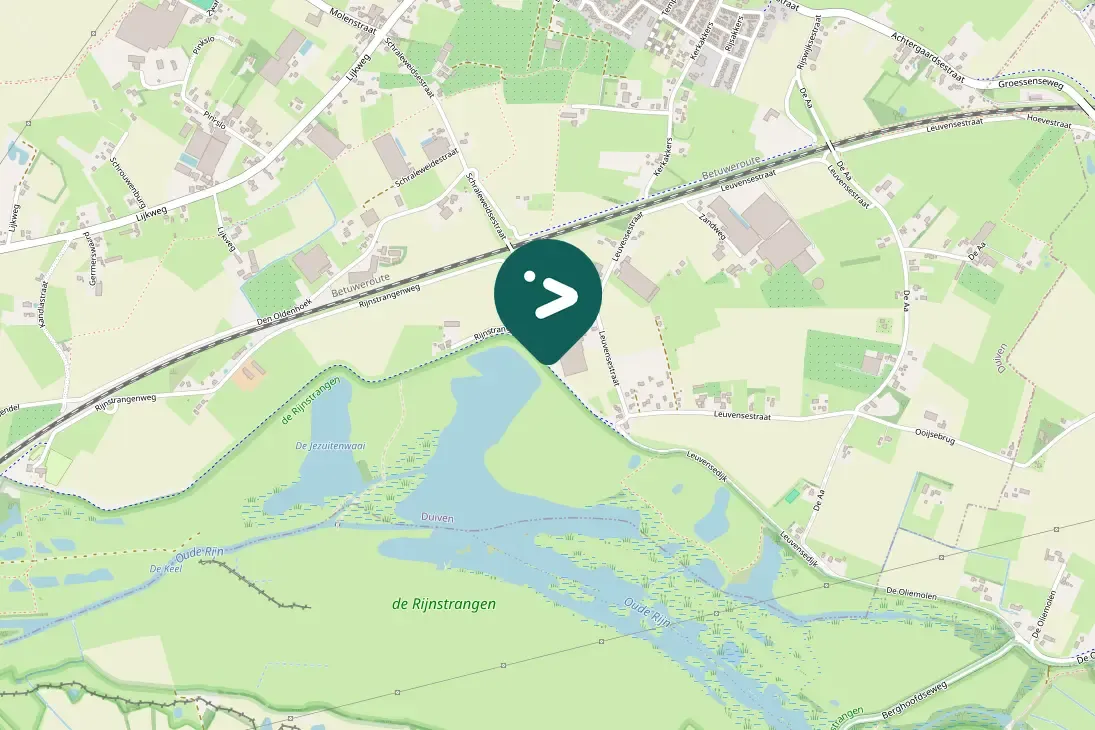 Spotted Ruddy Shelduck