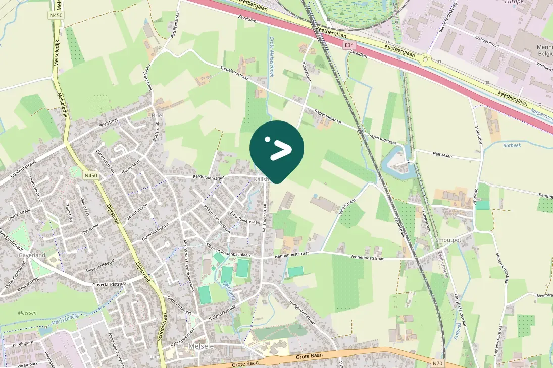 Spotted Bearded Reedling