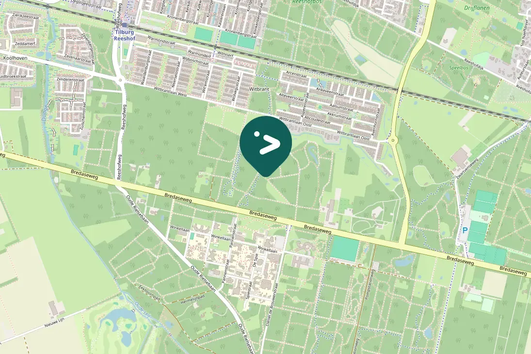 Spotted Black Woodpecker