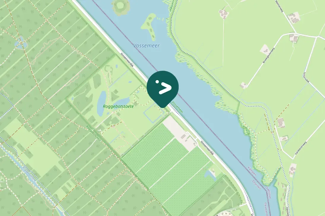 Spotted Common Chiffchaff