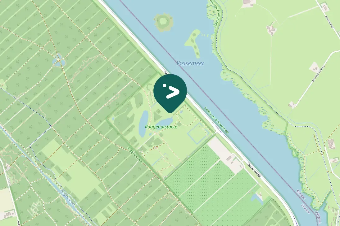 Spotted Common Snipe