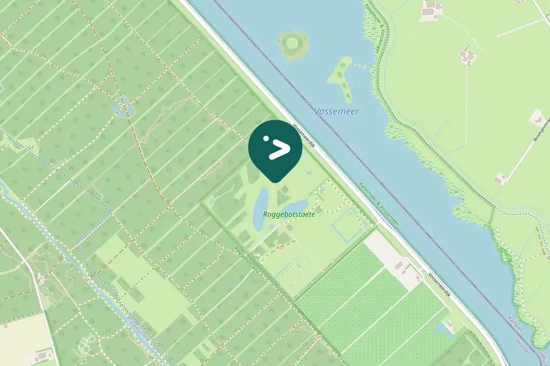 Spotted Common Chaffinch