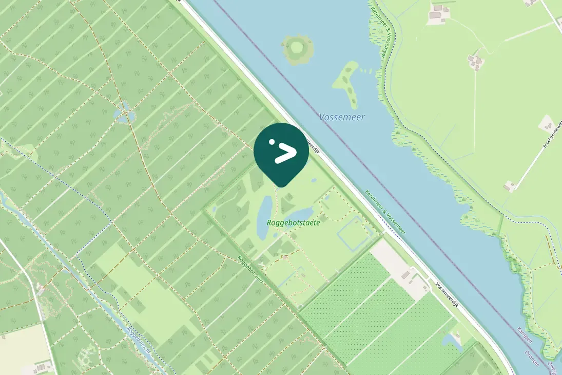 Spotted Eurasian Wren