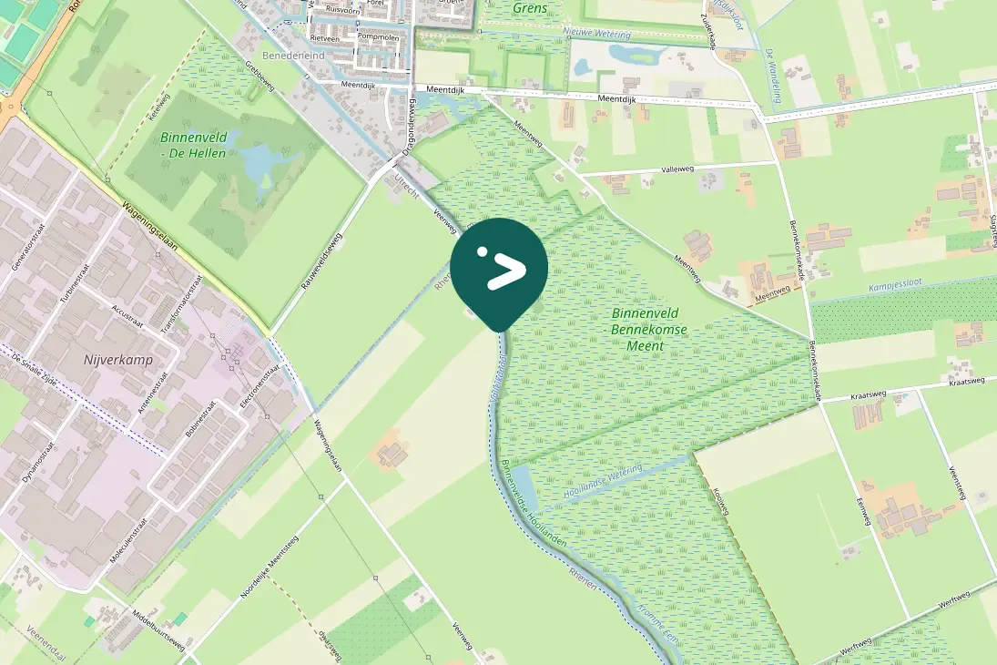 Spotted Eurasian Tree Sparrow