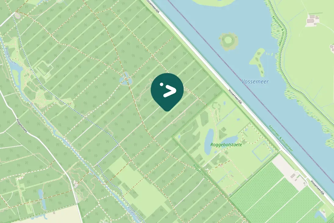 Spotted Great Spotted Woodpecker