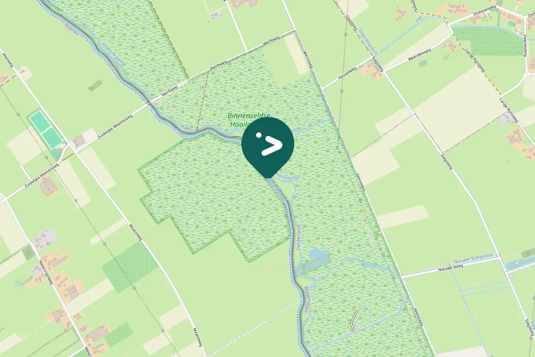 Spotted Northern Pintail