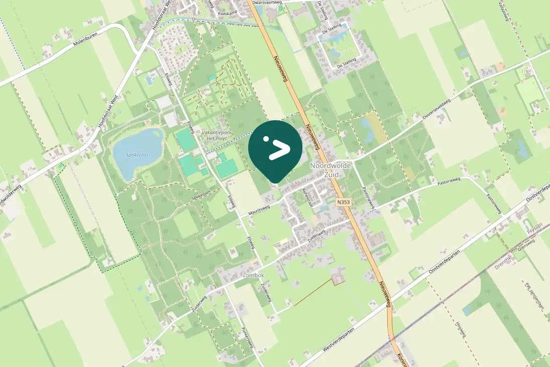 Spotted Black Woodpecker