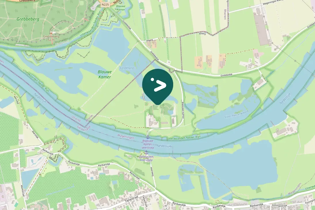 Spotted Eurasian Spoonbill