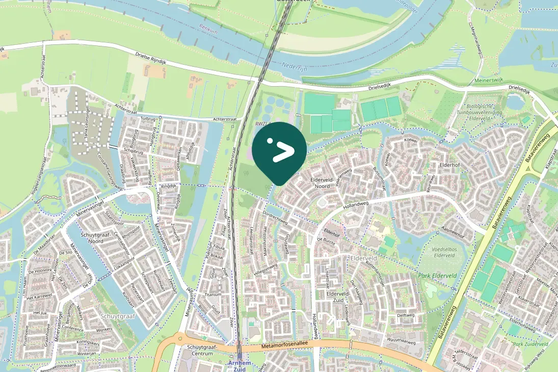 Spotted Common Buzzard