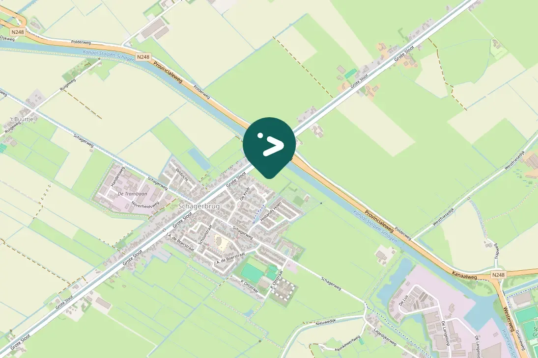 Spotted Common Eider