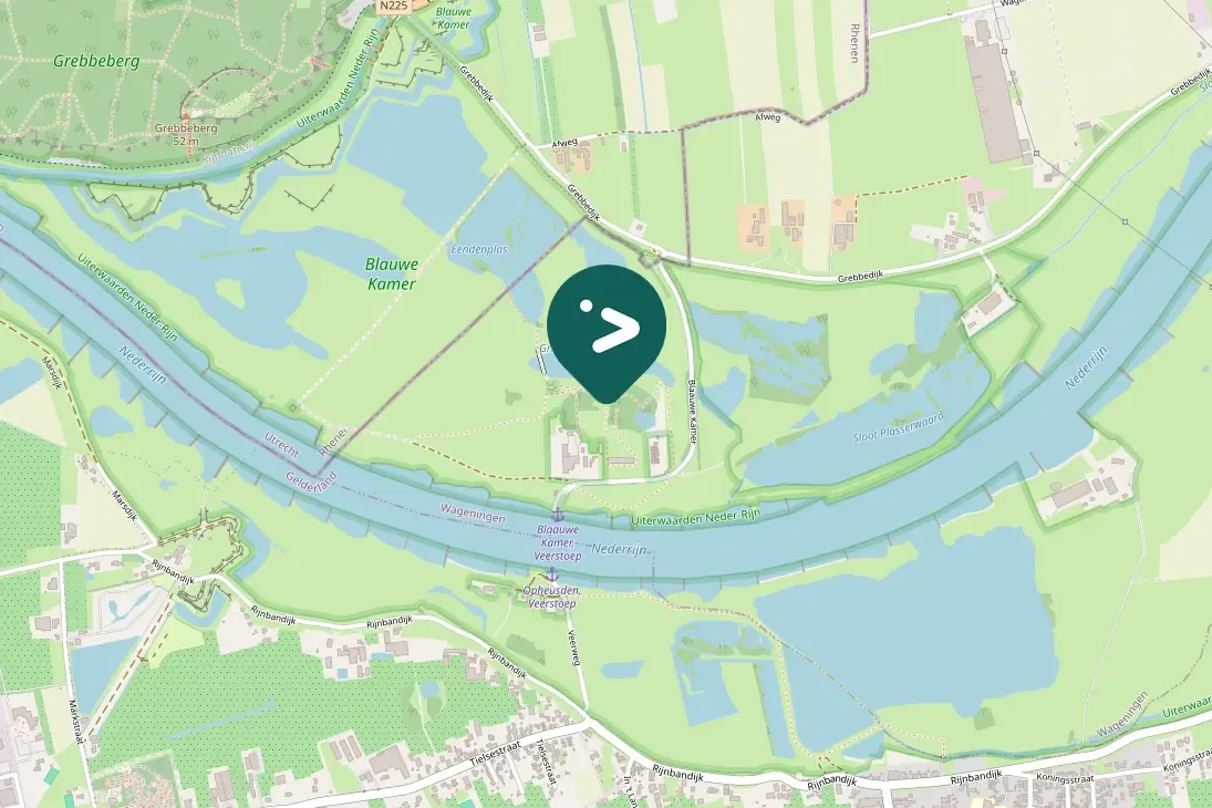 Spotted White-tailed Eagle