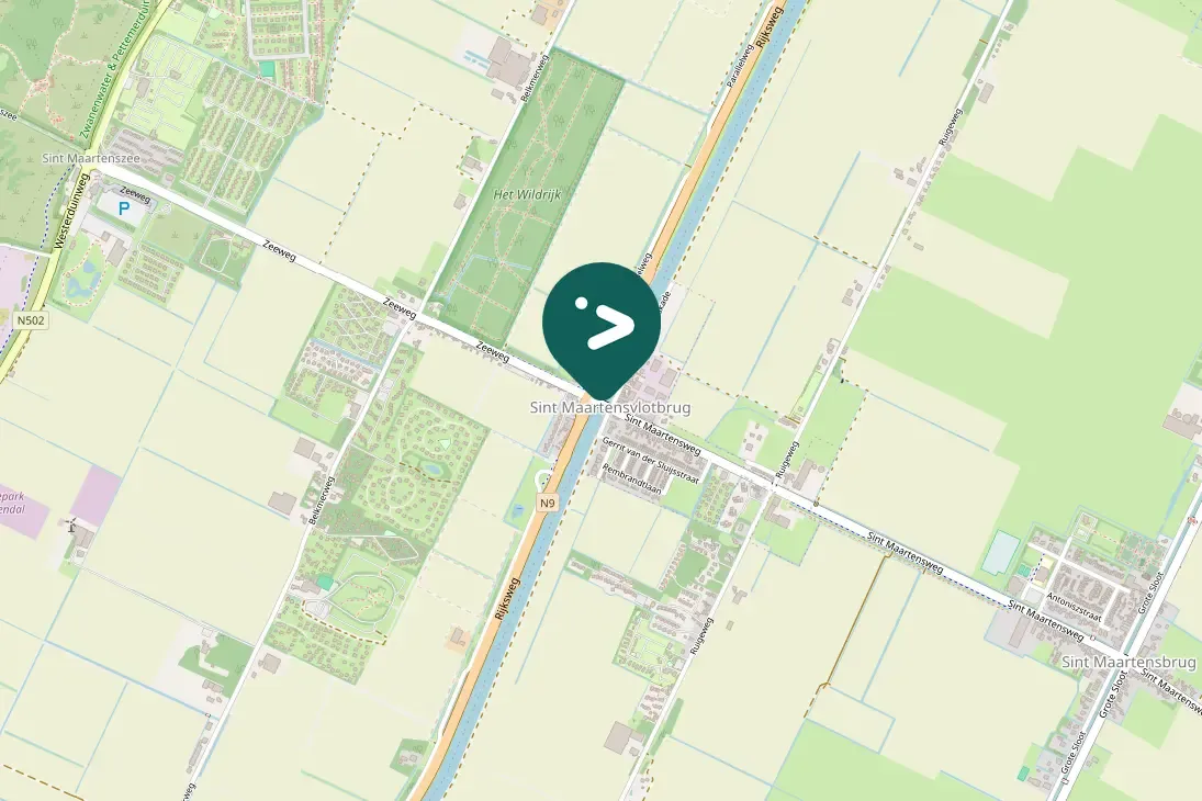 Spotted Greater White-fronted Goose