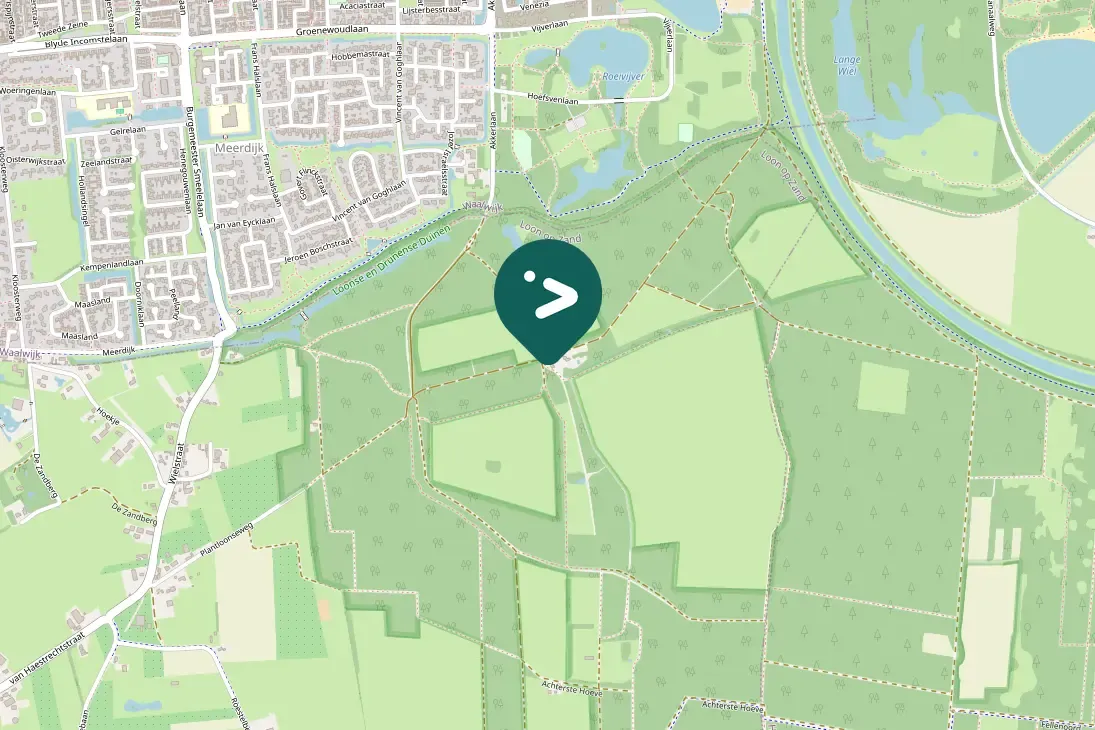 Spotted Middle Spotted Woodpecker