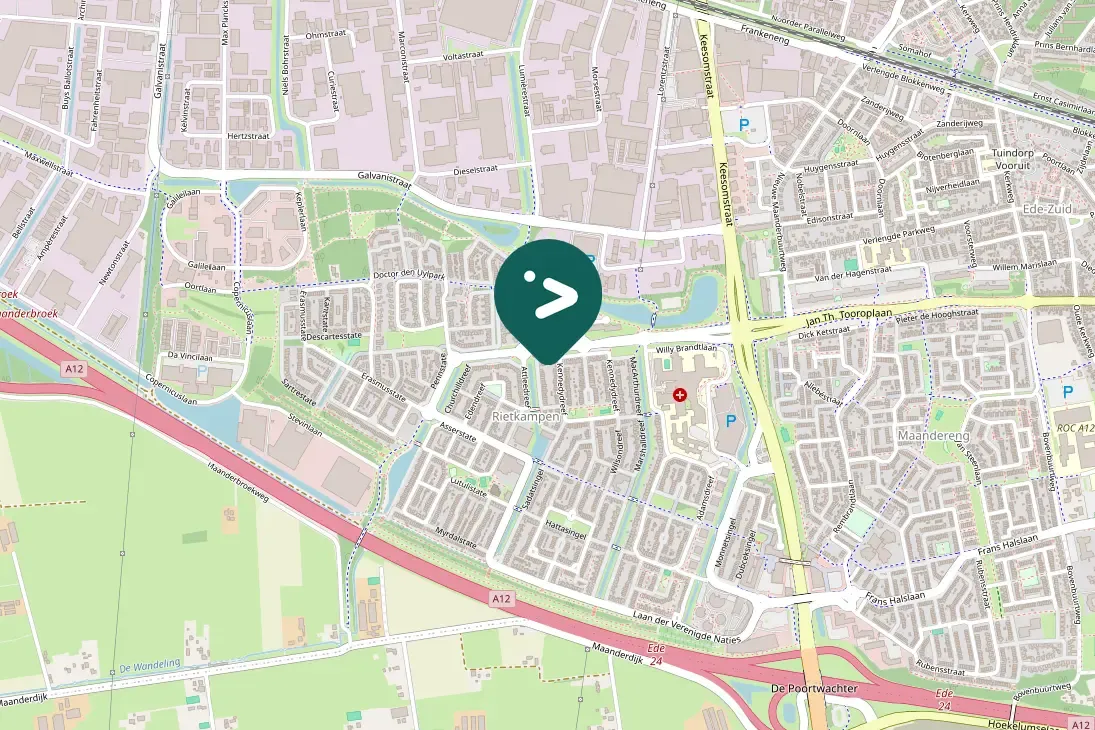 Spotted Eurasian Tree Sparrow