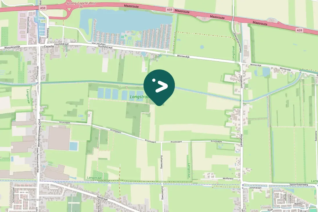 Spotted Northern Shoveler