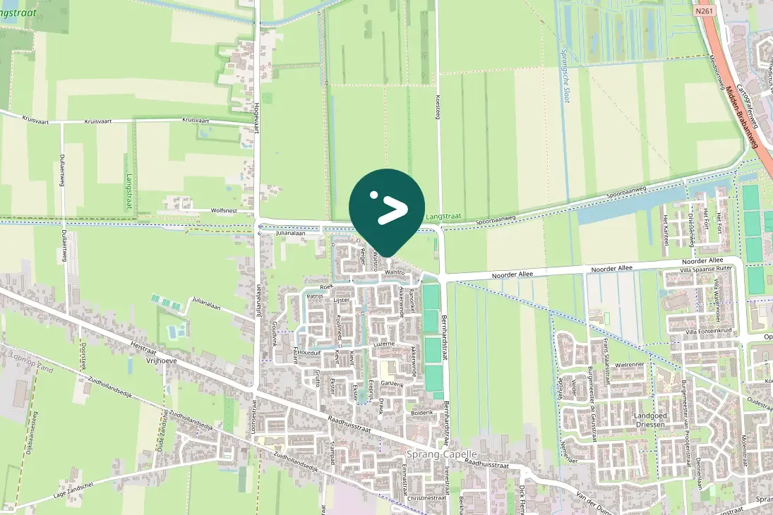 Spotted European Starling