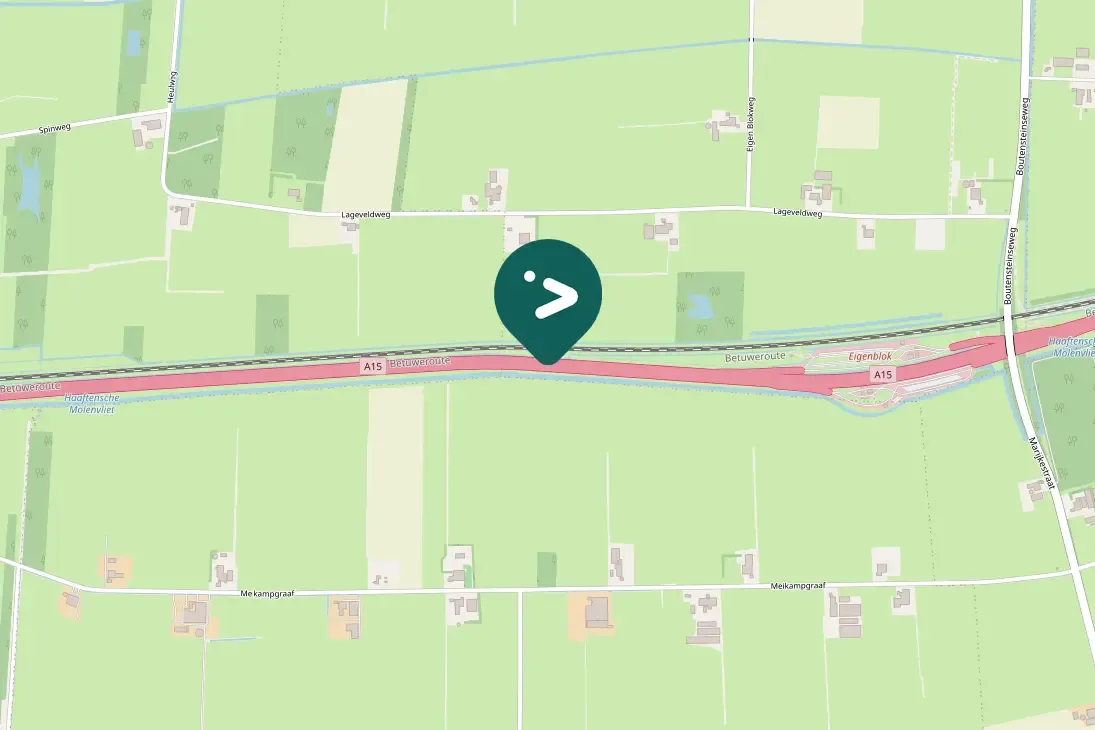 Spotted Northern Lapwing