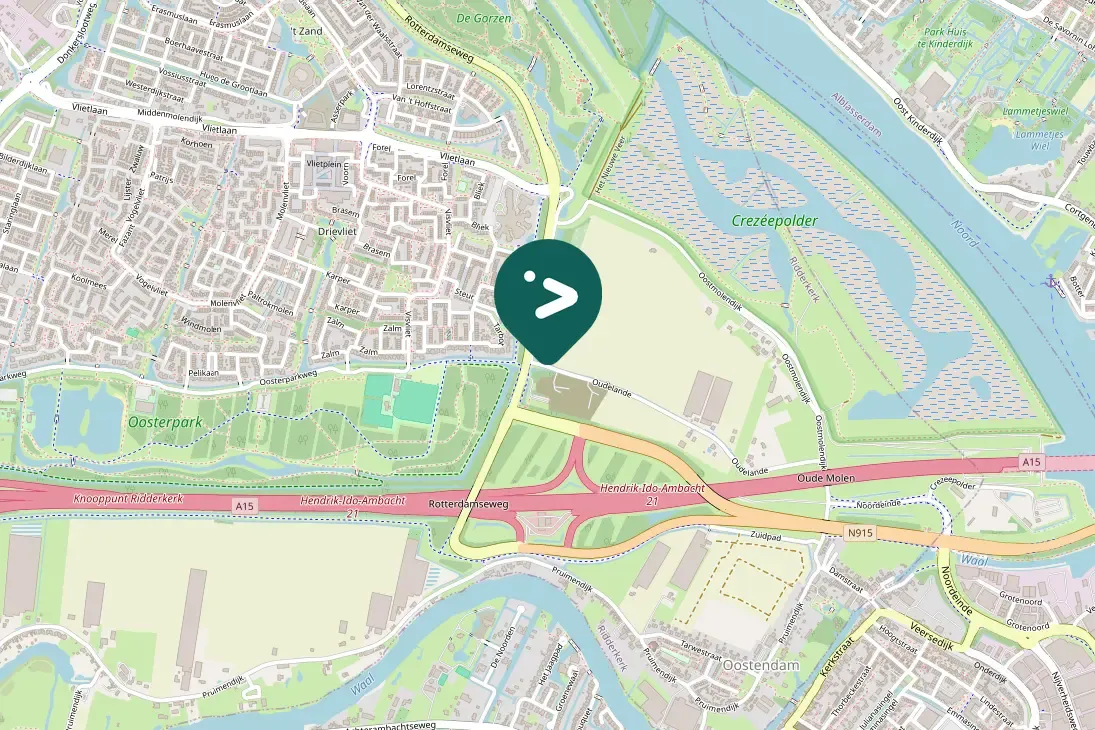 Spotted Ring-necked Pheasant