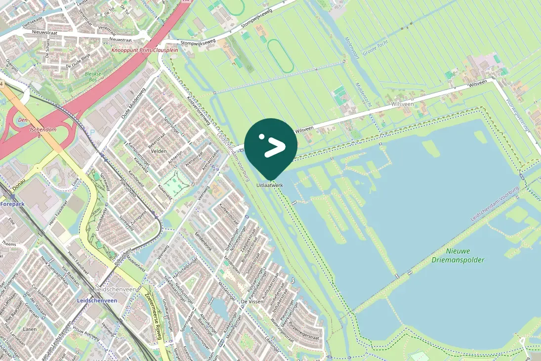 Spotted Northern Shoveler