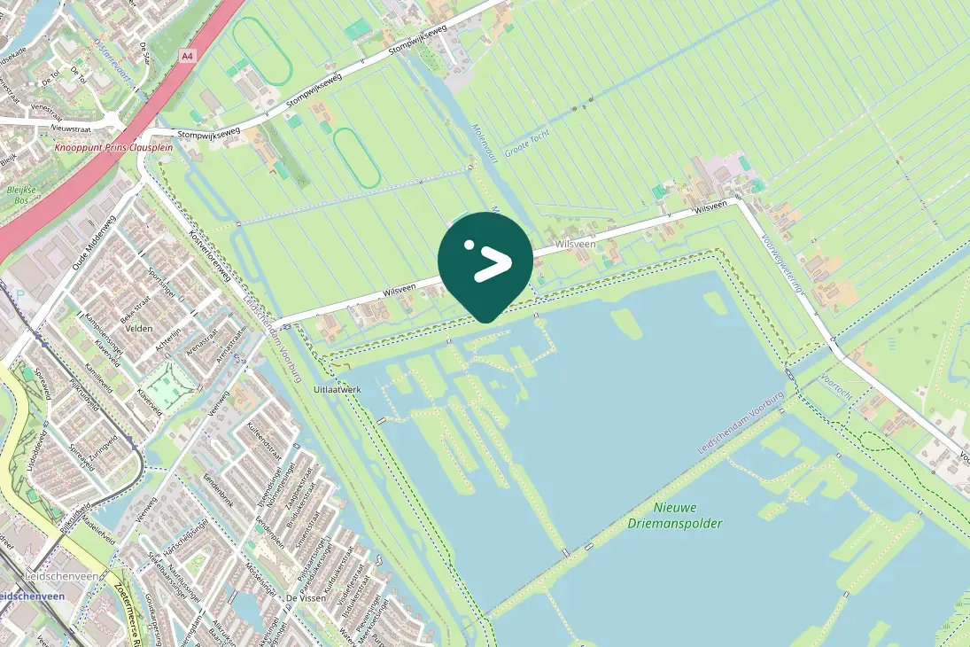 Spotted Common Snipe