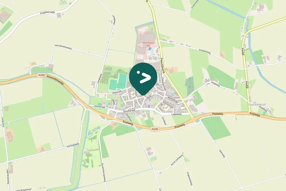 Spotted Western House-Martin