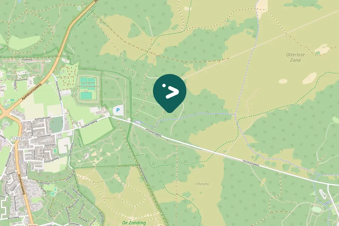 Spotted Eurasian Goshawk