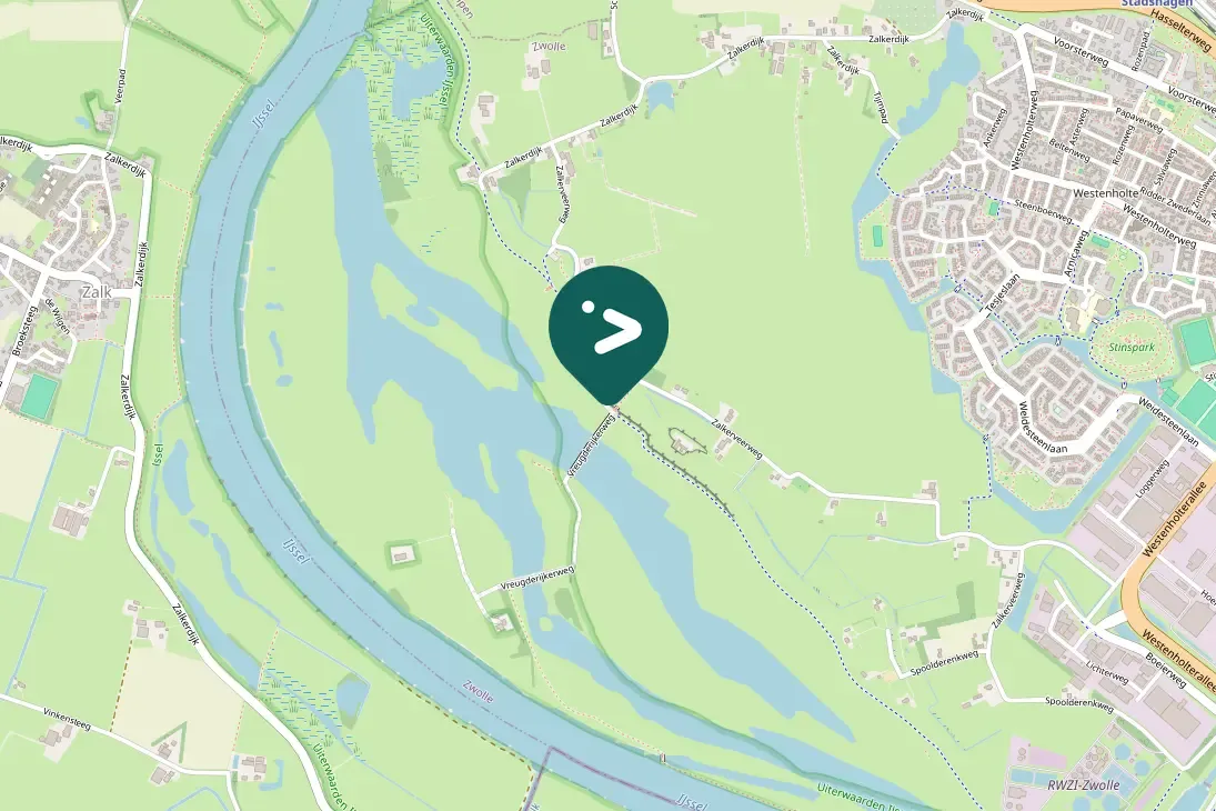 Spotted Barnacle Goose