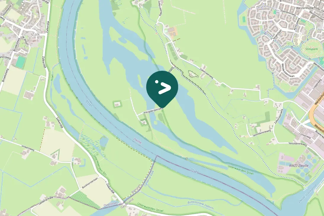 Spotted Barnacle Goose