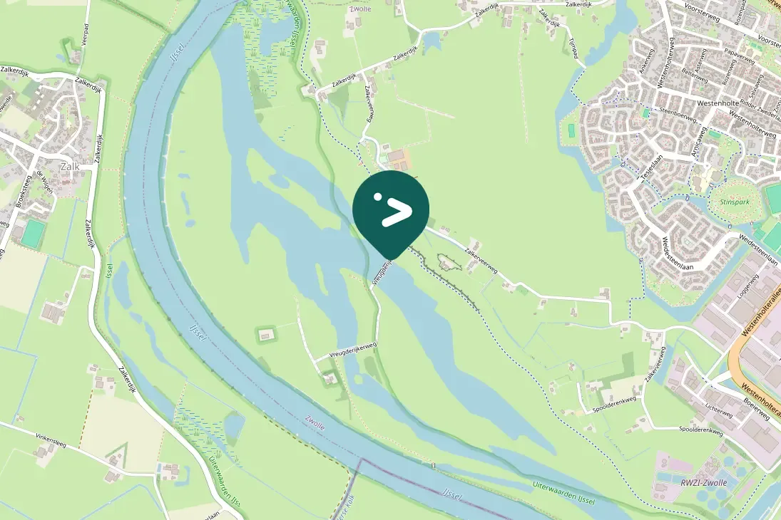 Spotted Graylag Goose