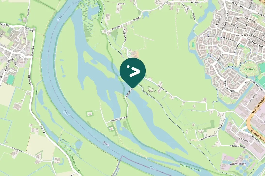 Spotted Eurasian Wigeon