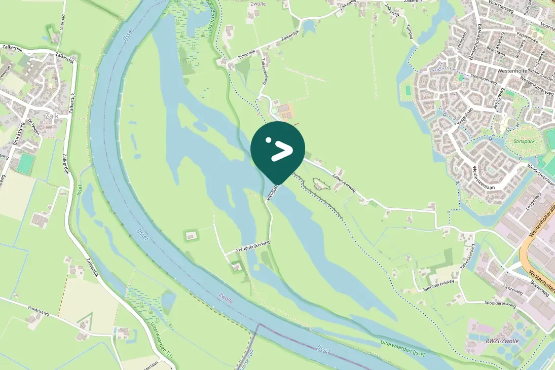 Spotted Eurasian Wigeon