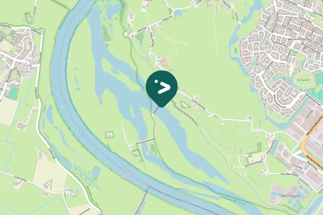 Spotted Graylag Goose