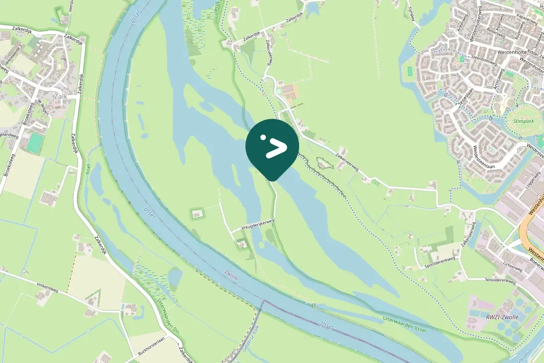 Spotted Canada Goose