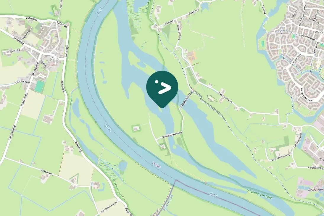 Spotted Northern Lapwing