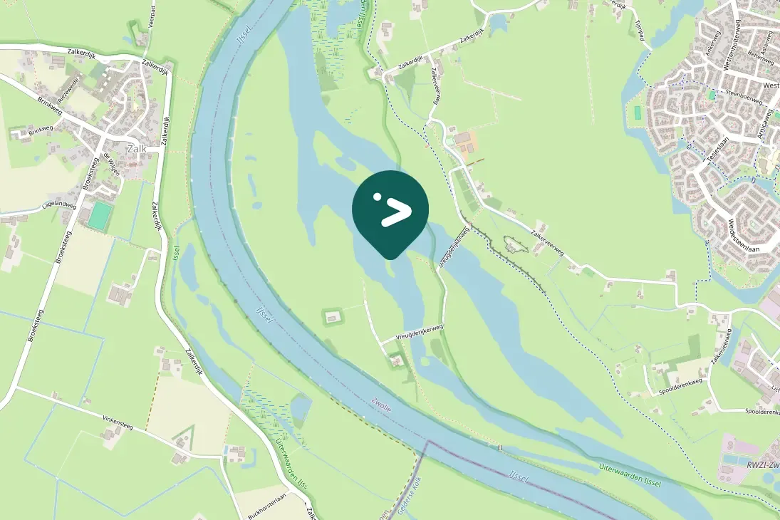 Spotted Common Shelduck