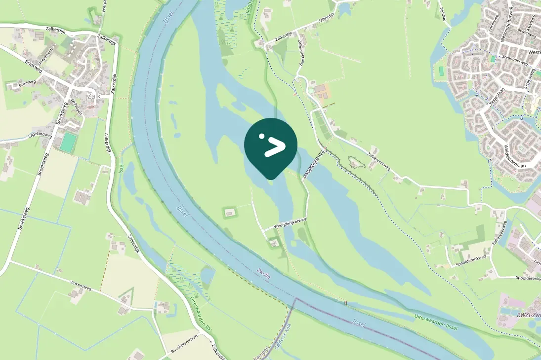 Spotted European Herring Gull