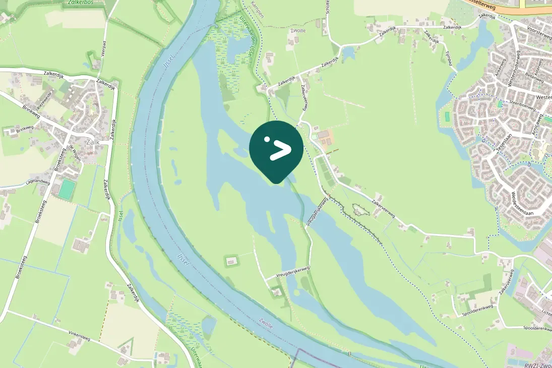 Spotted Black-tailed Godwit