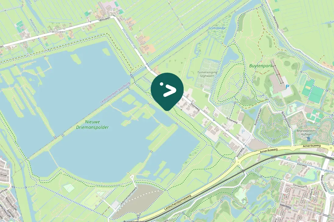 Spotted Gray Partridge