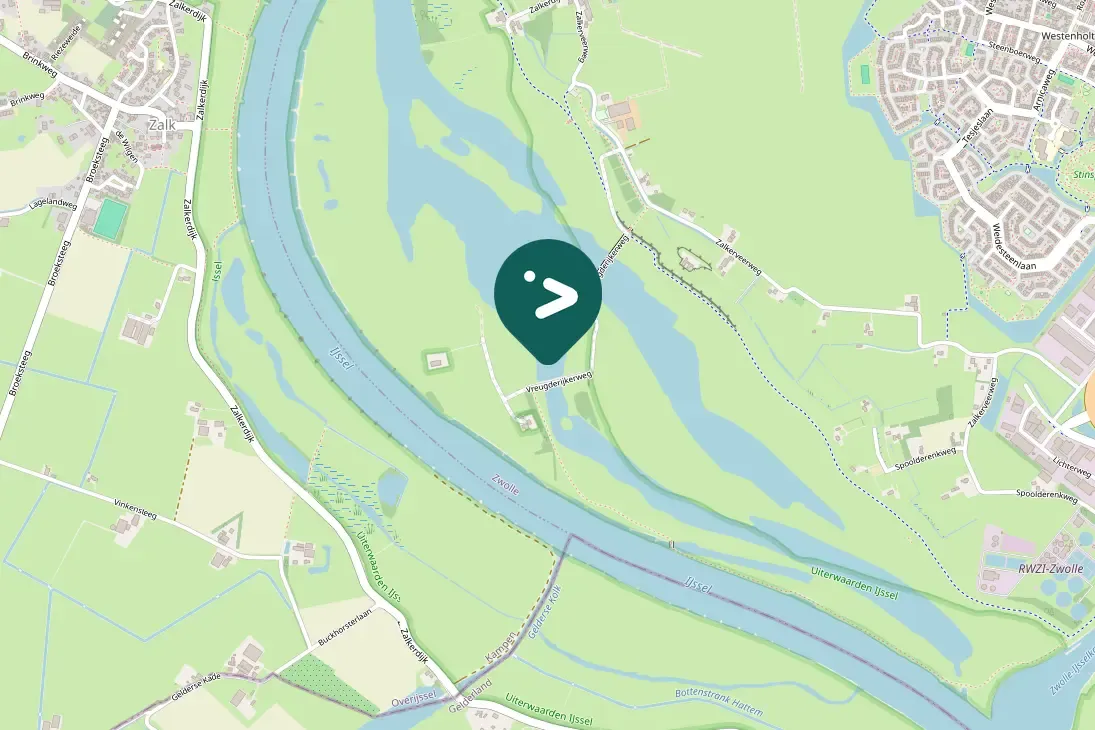 Spotted Great Cormorant