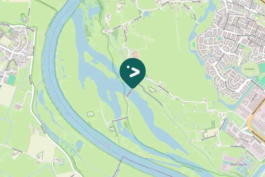 Spotted Common Redshank