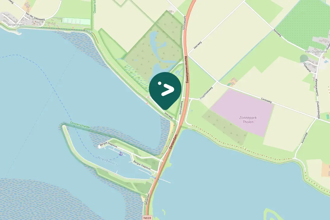 Spotted Common Shelduck