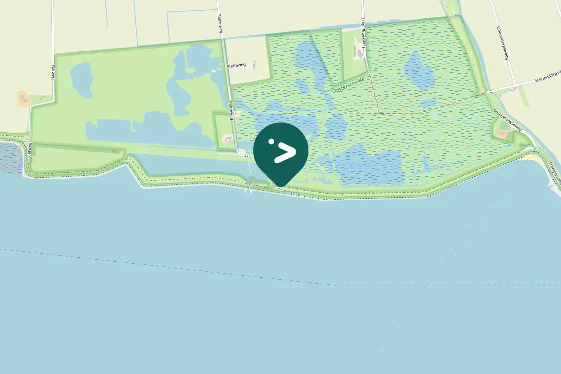 Spotted Meadow Pipit