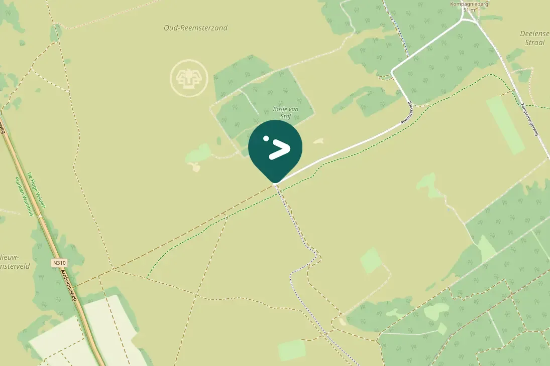 Spotted Eurasian Skylark