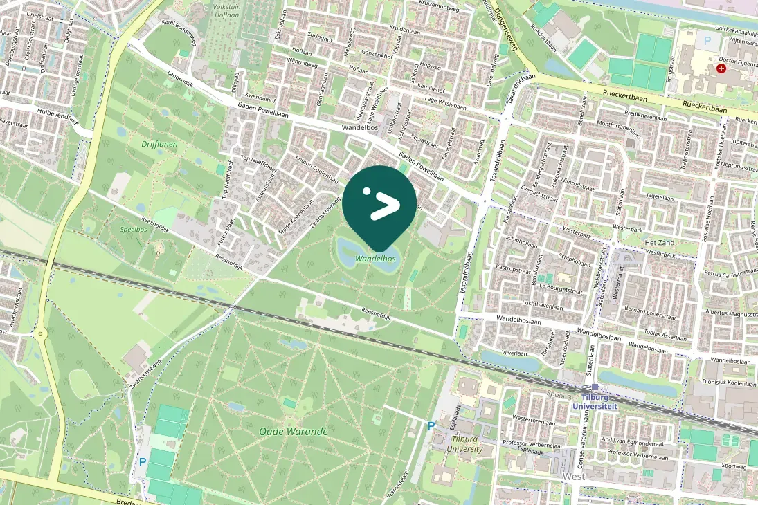 Spotted Eurasian Nuthatch