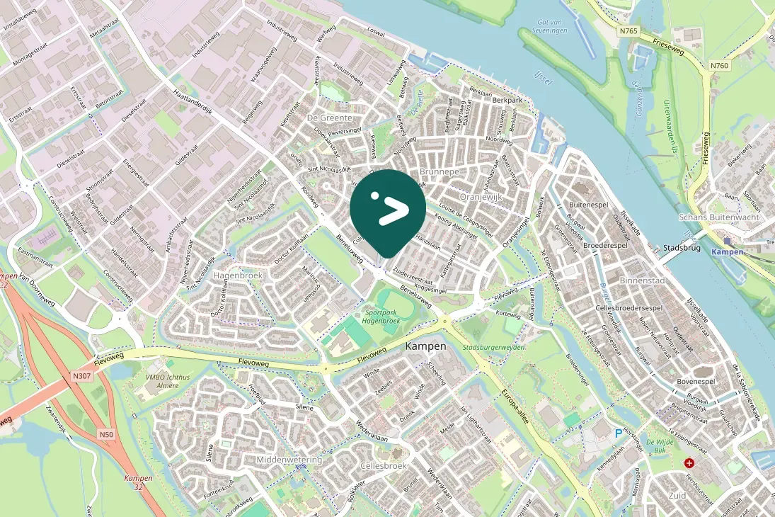 Spotted Lesser Black-backed Gull