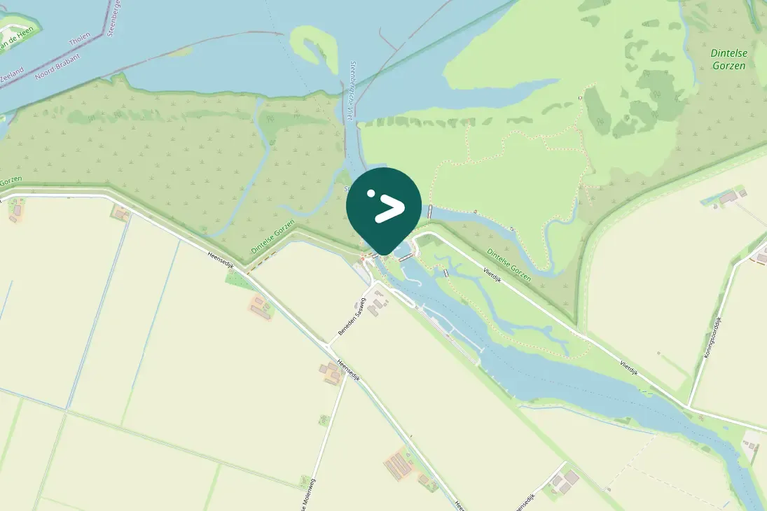 Spotted Red-breasted Merganser